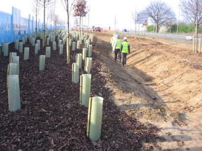New footpath and tree planting along Hauxton Road, Glebe Farm. Photo: Elizabeth Rolph, 2 April 2012.