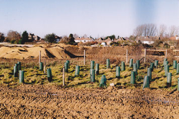 Looking towards the houses on the south side of Bishop’s Road from Addenbrooke’s Road, across the Glebe Farm fields, with the early stages of building work in hand. Photo: Andrew Roberts, 9 January 2011.