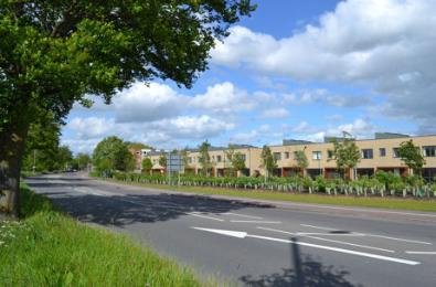 Newly completed homes on Beech Drive from Hauxton Road, Novo development, 10 May 2014.