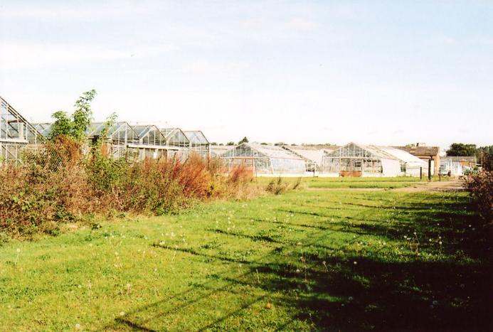 Greenhouses on the former PBI/Monsanto site. Photo: Andrew Roberts, October 2007.