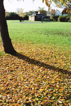 Fallen leaves and the Pavilion, King George V Playing Field, 6 November 2007.