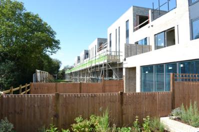 Looking along the rear of the terrace from the Skanska show house, Seven Acres development, Clay Farm. Photo: Andrew Roberts, 15 September 2012.