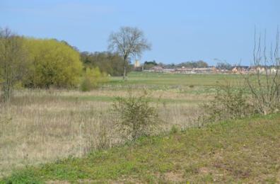 Looking across Trumpington Meadows Country Park from the railway embankment, 15 April 2015.
