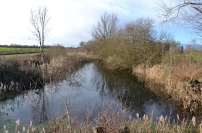The eastern end of the coprolite pond, Trumpington Meadows Country Park. Photo: Andrew Roberts, 7 February 2016.