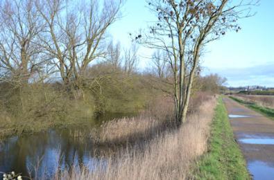 Looking along the path parallel with the coprolite pond towards Trumpington Church, Trumpington Meadows Country Park. Photo: Andrew Roberts, 7 February 2016.