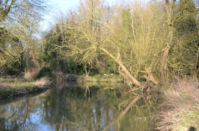 The river and Bryon's Pool from Trumpington Meadows Country Park. Photo: Andrew Roberts, 4 March 2016.