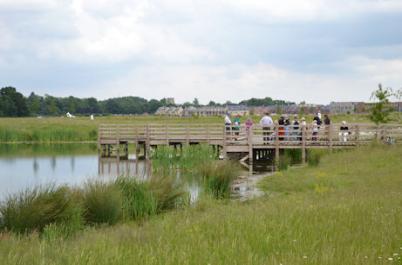 Trumpington Meadows Country Park Discovery Day: guided walk on the pier at the pond. Photo: Andrew Roberts, 11 June 2016.