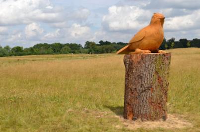 Wood carving of a bird in Trumpington Meadows Country Park. Photo: Andrew Roberts, 30 July 2016.