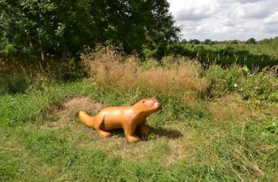 Wood carving of an otter in Trumpington Meadows Country Park. Photo: Andrew Roberts, 30 July 2016.