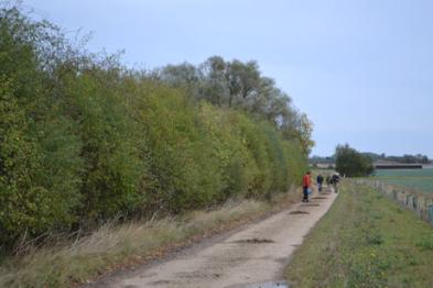 The hedgerow alongside the former coprolite pond south of the motorway, during an art walk around Trumpington Meadows. Photo: Andrew Roberts, 9 October 2011.