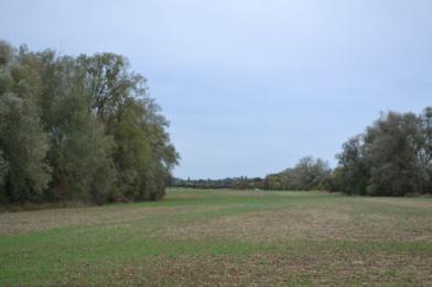 Looking across the fields south of the motorway, during an art walk around Trumpington Meadows. Photo: Andrew Roberts, 9 October 2011.