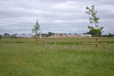 The new Primary School seen from Trumpington Meadows Country Park. Photo: Andrew Roberts, 12 June 2013.