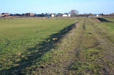 Looking along the former railway line across the park towards the school, Trumpington Meadows. Photo: Andrew Roberts, 28 December 2013.