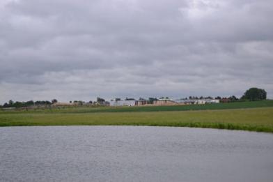 Looking across a balancing pond towards the Primary School, Trumpington Meadows Country Park. Photo: Andrew Roberts, 12 June 2013.